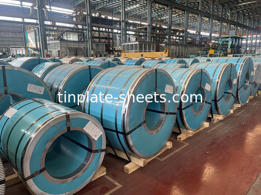 العرض 512-986mm بريم الالكتروليتيكية الصفيحة الطينية طين طلاء 2.8/2.8 T5 DR8 TS260 TH520