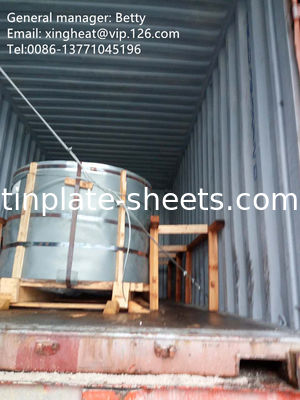 طوب من الصفيح الصفيح لصناعة التعبئة والتغليف 25 طن متري MOQ EXW/FOB/CFR/CIF L/C/T/T/DP شروط الدفع مواد MR و SPCC