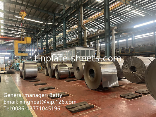 OEM الصلب الكهربائي المقوى بالكروم TFS الشريحة الساطعة انتهت