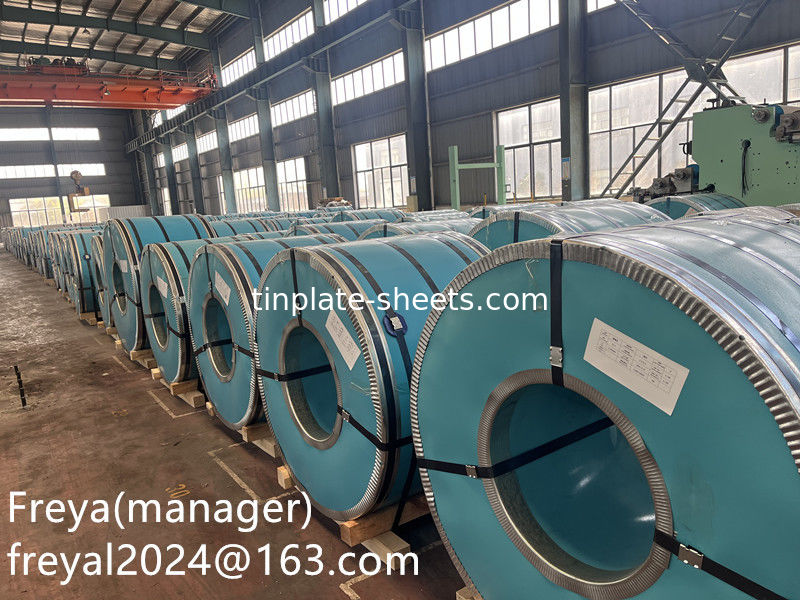 الصفيحة الكهربائية 2.8/2.8 JIS G330 لعلب الطعام 1.1/1.1 مصنع الصفيحة T2.5 T3 T4 T5 DR8 DR9
